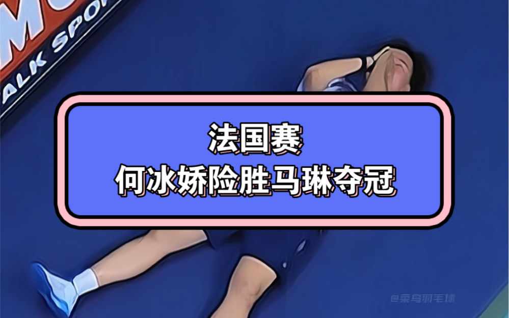 包含法国羽毛球队轻取韩国羽毛球队，马琳爆发神勇的词条
