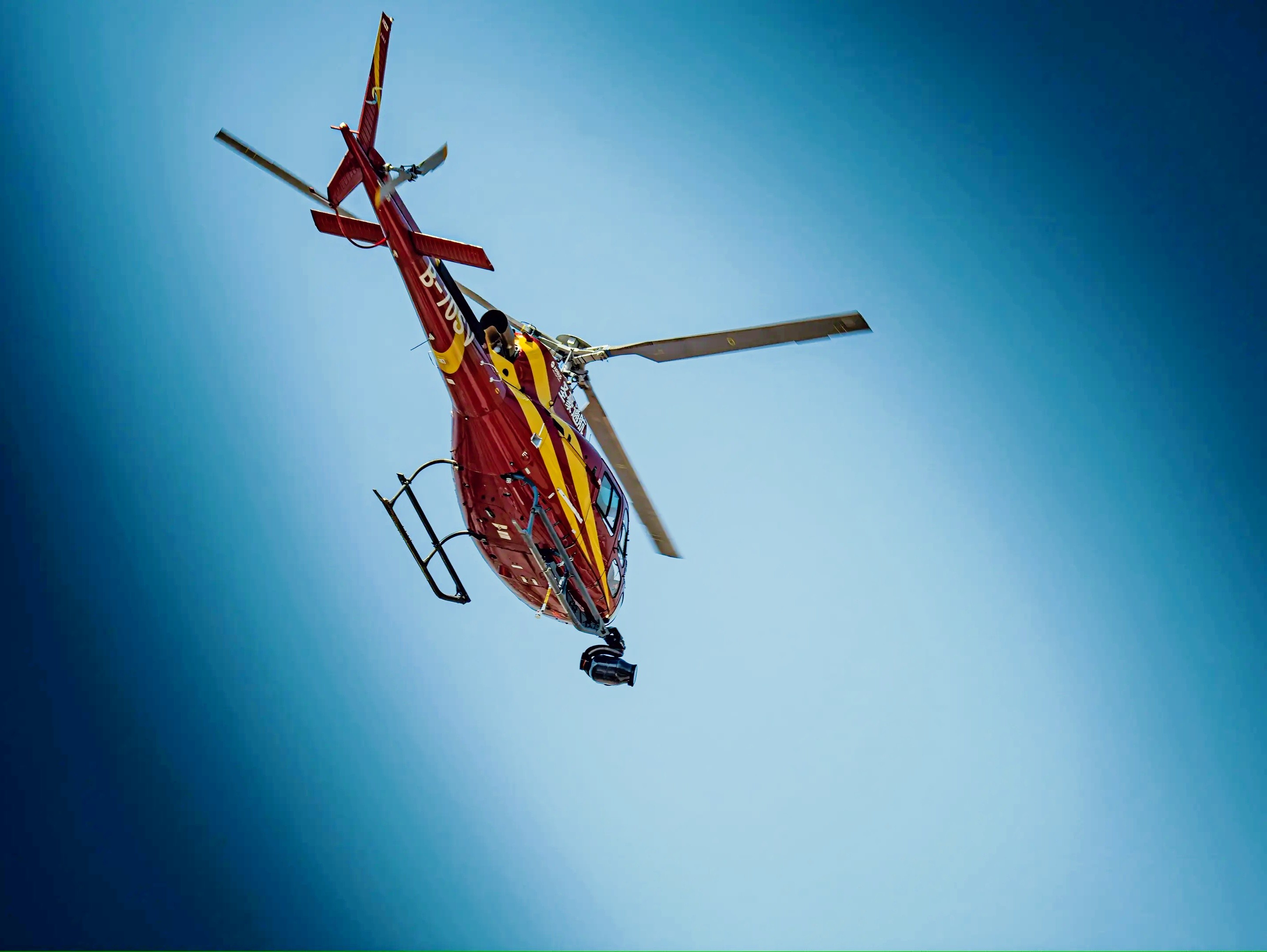 包含威廉姆斯逆转红牛二队，周冠宇统治全场的词条