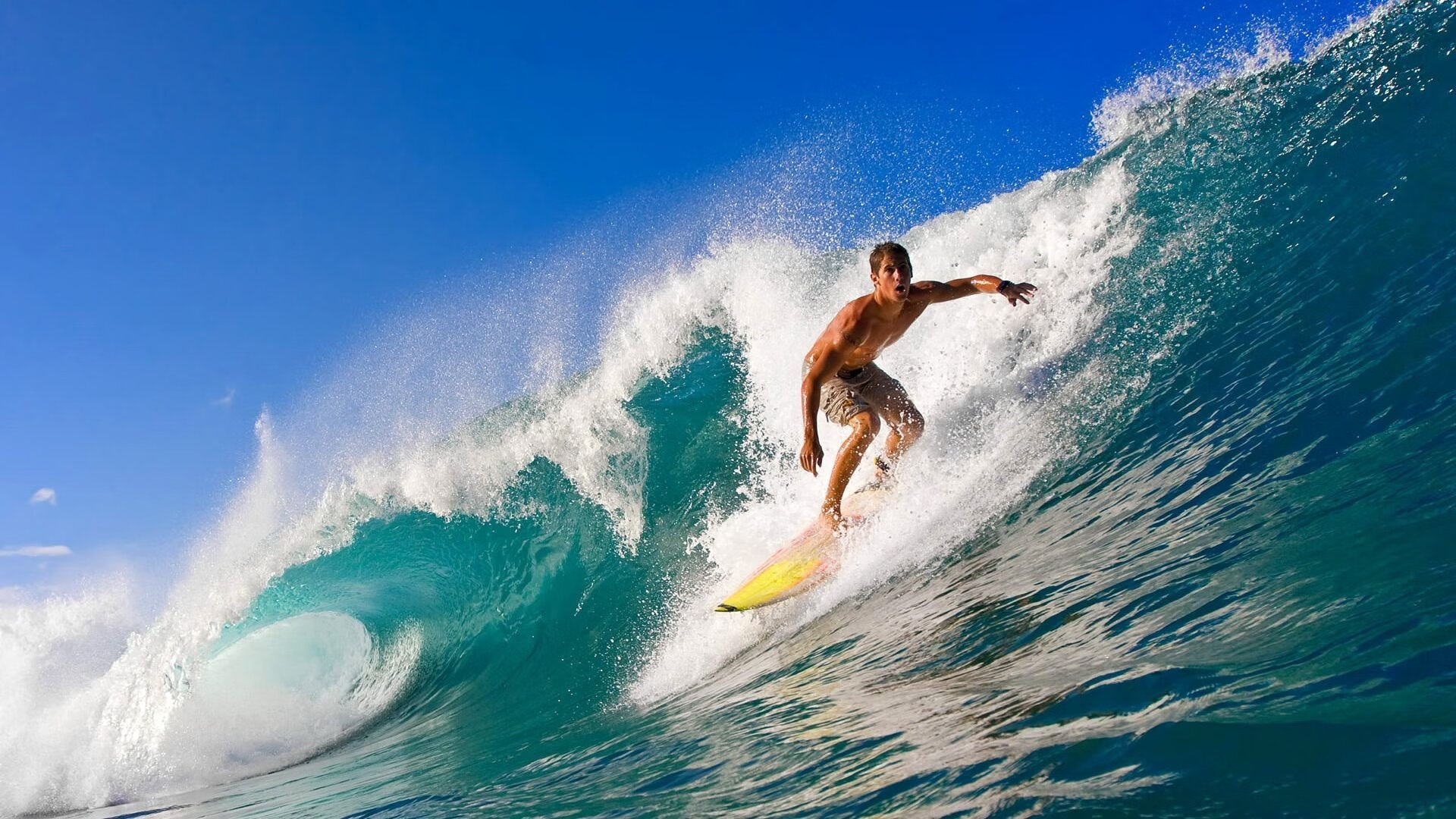 绿茵场与乒乓台的双重奏，葡萄牙队完胜瑞典队，樊振东赛场高光闪耀
